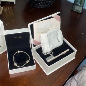 Pandora bracelet with animal charm